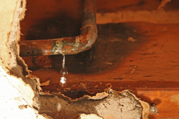 5 Signs of a Hidden Water Leak in Your Home (And Why You Should Never Ignore Them)
